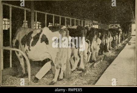 L'agriculture primaire avec l'agriculture primaire arithmétique pratique avec elementaryagricu arithmétique pratique01hatc Année : 1906 L'ENSEMBLE DES PRODUITS LAITIERS 123 secret pour conserver lait sucré consiste à faire en sorte que les bactéries d'entrer dans elle. Suivant en importance pour les soins de la lait provient de la sélection de la harde. Puisque la plupart des crèmeries et fromageries maintenant payer par le test, c'est, payer la quantité de beurre que le lait contient des matières grasses, il est important pour le producteur laitier que ses tests lait bien, et que ses vaches donner un assez grand débit de lait. En général, pas de vache est rentable pour l'dair Banque D'Images