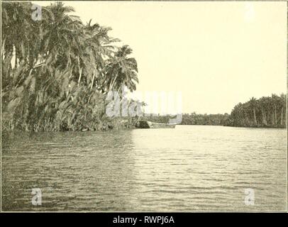 Éléments de l'agriculture philippine (1908) Banque D'Images