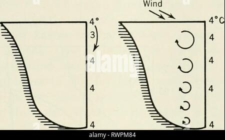 Éléments d'écologie (1954) Éléments de l'écologie de l'elementsofecolog00Cl Année : 1954 201 d'été- FiG. 5.5 Stratification montrant renverser l'automne Banque D'Images