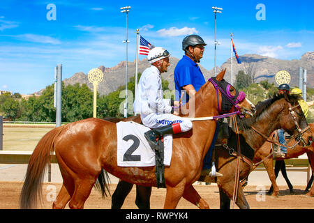 Défilé de jockey's et leurs chevaux qui se préparent à la course à Rillito Park piste dans Tucson AZ Banque D'Images