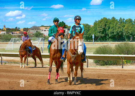 Défilé de jockey's et leurs chevaux qui se préparent à la course à Rillito Park piste dans Tucson AZ Banque D'Images