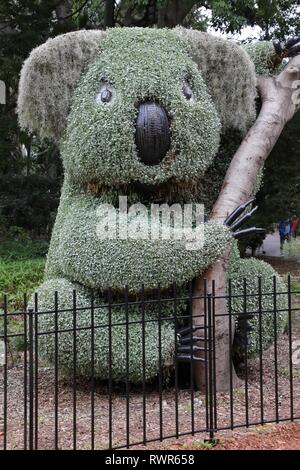 Topiaire géant koala dans le Jardin botanique royal de Sydney. Banque D'Images