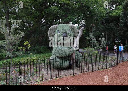 Topiaire géant koala dans le Jardin botanique royal de Sydney. Banque D'Images