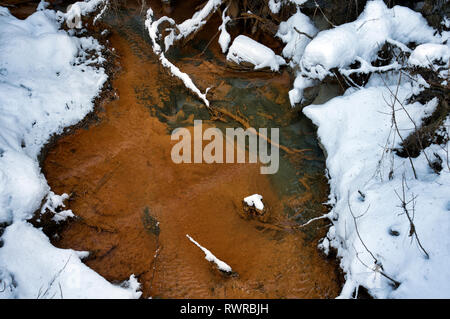 Orange creek de bactéries oxydant le fer en hiver avec la neige. Banque D'Images