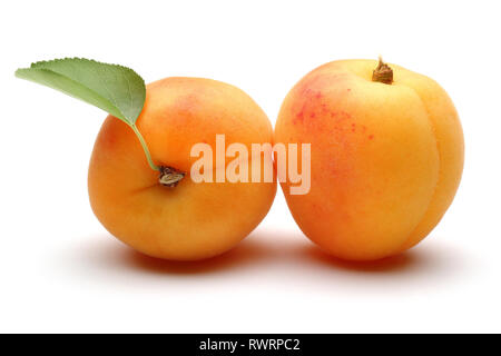 Fruits abricot frais avec feuille isolé sur fond blanc Banque D'Images