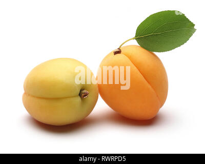 Fruits abricot frais avec feuille isolé sur fond blanc Banque D'Images