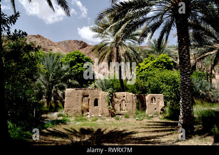 Oasis village abandonné Oman Banque D'Images