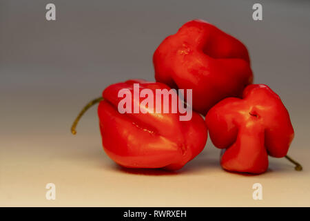 Trois des Caraïbes frais mûrs Habanero Red Hot Chili Peppers avec tige verte. Banque D'Images