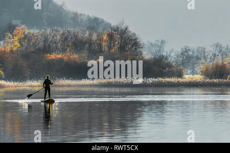 Paddle boarder prendre une femelle tôt le matin sur le lac Derwentwater Cumbria England UK Banque D'Images