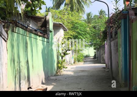 Rue maldivienne typique de palmiers et maisons colorées (Ari Atoll, Maldives) Banque D'Images