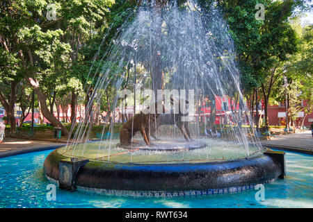 Coyoacan, Mexico City, Mexico-20 Avril, 2018 : les coyotes potable statue et fontaine dans Hidalgo Square à Coyoacan Banque D'Images