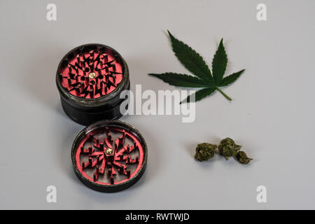 Bourgeons de Marijuana Médicale, mauvaises herbes, feuilles de cannabis et grinder Close Up. backdround blanc. Phytothérapie Banque D'Images