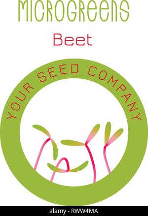 Betterave Microgreens. La conception des emballages de semences, l'élément rond au centre. Supplément de vitamines, de nourriture vegan Illustration de Vecteur