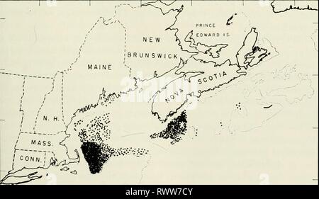 Éléments d'écologie (1954) Éléments de l'écologie de l'elementsofecolog00Cl Année : 1954 JE Fig. 8.4. Distribuiton contrastées de la morue, Gadiis callarias (figure du haut) et le poisson rouge- nmrinus {Sebastes, figure du bas) comme indiqué par la prise du nouveau fra- land pêche commerciale en 1936. Chaque point indique une capture de 25 000 kg ; ligne brisée indique 90 m. (Ackerman, 1941, Copyright, Univ. of Chicago Press). Banque D'Images