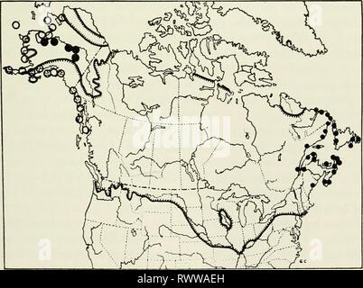 Éléments d'écologie (1954) Éléments de l'écologie de l'elementsofecolog00Cl Année : 1954 Division du travail 327 propagation mais aussi, après qu'il a été réduit en dessous d'une taille critique, elle peut être incapable de tenir sa propre. Cette dernière possibilité introduit le principe de la population minimale qui stipule que pour qu'une population de survivre indéfiniment dans un environnement leur nombre doit être maintenu au-dessus un minimum. Une illustration classique de ce principe est fourni par le sort de la heath hen, un oiseau qui était autrefois abondant dans le Massachusetts et peuvent avoir été distribués à partir de la main Banque D'Images