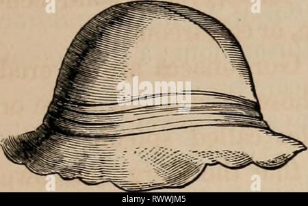 Éléments d'un des éléments zoölogy zoölogy : un livre elementsofzolo00tenn année : c1875 ACTINARIA. FIG. 720. 477 Banque D'Images