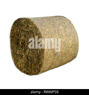De balles rondes couvertes de paille .Mesh est une paille largement utilisé le matériel organique pour la litière du bétail sur une ferme laitière. Isolé photo . Banque D'Images