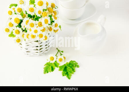 Laitier blanc avec du lait sur la table avec des tasses blanches et un bouquet de marguerites blanches dans un panier en osier. Banque D'Images