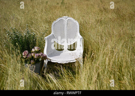 Un ancien président de la canne française se trouve en elle-même dans un champ de marguerites et de l'herbe et est entourée de fleurs à l'été Banque D'Images