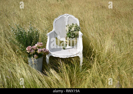 Un ancien président de la canne française se trouve en elle-même dans un champ de marguerites et de l'herbe et est entourée de fleurs à l'été Banque D'Images