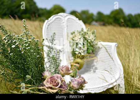 Un ancien président de la canne française se trouve en elle-même dans un champ de marguerites et de l'herbe et est entourée de fleurs à l'été Banque D'Images