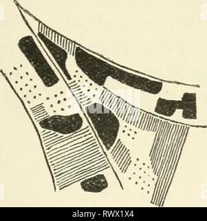 Éléments de physiologie humaine (1907) Éléments de physiologie humaine elementsofhumanp05star Année : 1907 529 sens spéciaux devraient par une augmentation de la température, comme indiqué par le prepon- derance des organes sociaux, l'art vestimentaire et autre, pour maintaming la température corporelle plus de ceux pour le refroidissement du corps. À une certaine température variant dans différentes parties du corps, la sensation de chaud ' ' subit un changement qualitatif et devient celui de '', et ce changement se produit quelques degrés inférieure à la température à laquelle le seuil de la douleur est atteint. Il a été démontré que, si le crayon utilisé Banque D'Images