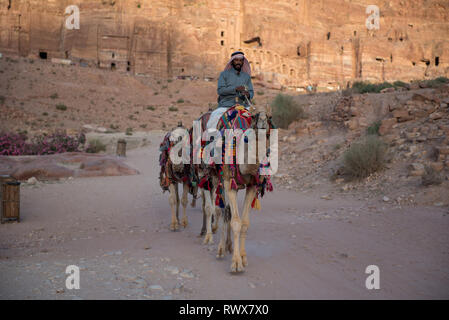 PETRA, JORDANIE - Mai 17, 2018 : guide bédouin arabe équitation son chameau dans le site du patrimoine de l'Unesco de Petra Banque D'Images