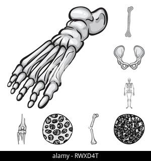 Fémur,pieds,de,la hanche,appareil locomoteur Fracture,fibres,ostéoporose,cheville,bony,joints,sain,scientifique,la douleur,cell,les pieds plats,linstallation,body,ossature,tendon,mouvement,calcium,crâne,dommage,joints,tissus,muscle,pieds nus,chirurgie,biologie,médical,os,squelette humain,anatomie organes,médecine,clinique,,set,icône,,illustration,collection,isolé,design,graphisme,élément signe,gris,noir,vecteurs vecteur , Illustration de Vecteur