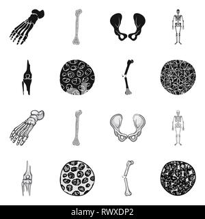 Fémur,pieds,de,la hanche,appareil locomoteur Fracture,fibres,ostéoporose,cheville,bony,joints,sain,scientifique,la douleur,cell,jambe,bassin,tissu,biais,squelettique, la podologie, la chirurgie du genou,,system,dommage,musculaire,avant-pied,conjonctif,tibia,body,cartilage épithélium,médecine,clinique,biologie,médical,os,,squelette anatomie,des,organes,,set,icône,,illustration,collection,isolé,design,graphisme,élément vecteur vecteurs,signer , Illustration de Vecteur