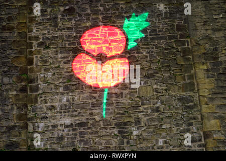 Projection du coquelicot sur le mur de château de Clitheroe Banque D'Images