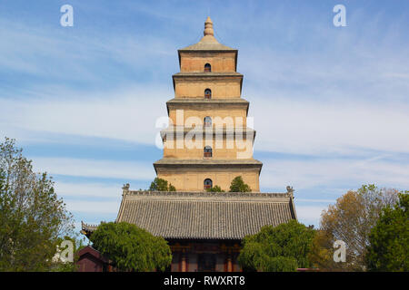 7e siècle Giant Wild Goose Pagoda à Xi'an (Chine) Banque D'Images