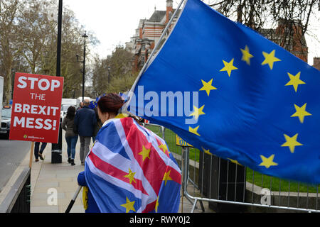 Westminster, London, UK. 7 mars 2019. Militante Anti-Brexit démontrer en face du Palais de Westminster à Londres. Crédit : Thomas Krych/Alamy Live News Banque D'Images