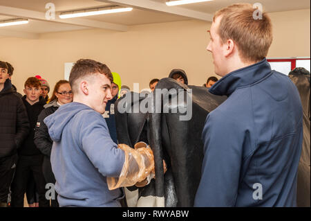 Clonakilty, West Cork, Irlande. 8 mars, 2019. Gavin Crowley de Skibbereen a assisté à la journée portes ouvertes du collège agricole Darrara et a été invité par le professeur James Daunt à aider un simulateur vétérinaire vache pour donner naissance. Darrara est le seul collège agricole en Irlande pour avoir un simulateur. Credit : Andy Gibson/Alamy Live News. Banque D'Images