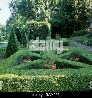 Jardin de haies Banque D'Images