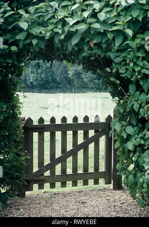 Porte en bois fermée en vertu de l'hedge Banque D'Images