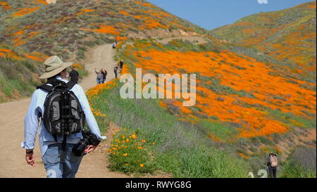 Les gens affluent vers les sentiers à prendre dans la Californie 2019 super bloom Banque D'Images