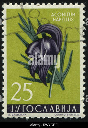 Russie KALININGRAD, 12 novembre 2016 : timbres en Yougoslavie, spectacles Monkshood, circa 1959 Banque D'Images