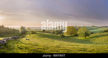 Vue panoramique de la magnifique paysage pastoral dans les collines de Brosarp (Brösarps backar), Osterlen, Skane, Sweden. La Scandinavie. Banque D'Images