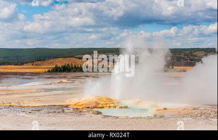 Geyser de vapeur avec de l'eau fontaine, Spouter Geyser, bassin de sable noir, Parc National de Yellowstone, Wyoming, USA Banque D'Images