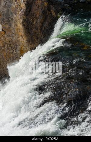 Vue détaillée, l'eau qui tombe, Tombe de Yellowstone, cascade dans une gorge, Grand Canyon de la Yellowstone River Banque D'Images