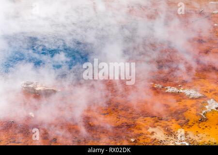 Printemps, citerne Norris Retour Bassin, Hot spring avec des gisements minéraux, Noris Geyser Basin, Parc National de Yellowstone Banque D'Images