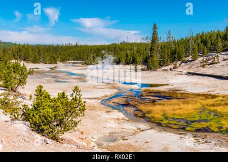 Rivière dans le bassin arrière Norris, hot springs avec des dépôts minéraux, Noris Geyser Basin, Parc National de Yellowstone, Wyoming, USA Banque D'Images