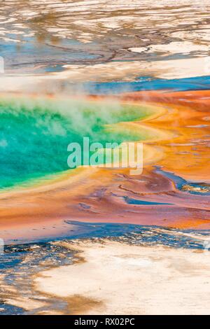 Les dépôts de minéraux colorés au bord sr la vapeur chaude du printemps, photo détail, Grand Prismatic Spring, Midway Geyser Basin Banque D'Images