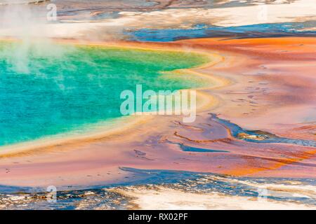 Les dépôts de minéraux colorés au bord sr la vapeur chaude du printemps, photo détail, Grand Prismatic Spring, Midway Geyser Basin Banque D'Images