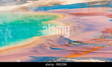 Les dépôts de minéraux colorés au bord sr la vapeur chaude du printemps, photo détail, Grand Prismatic Spring, Midway Geyser Basin Banque D'Images