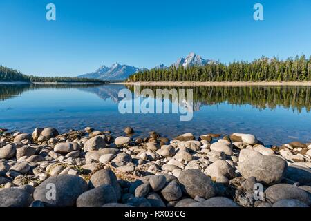 Montagnes reflété dans le lac, Colter Bay Bay, le lac Jackson, chaîne Teton Mountain Range, Parc National de Grand Teton, Wyoming Banque D'Images