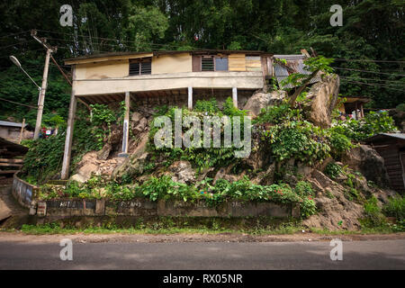 Campagne de Tana Toraja dans le sud de Sulawesi, près de la ville de Rantepao. Banque D'Images