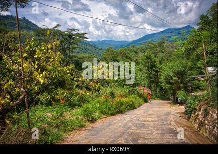 Campagne de Tana Toraja dans le sud de Sulawesi, près de la ville de Rantepao. Banque D'Images