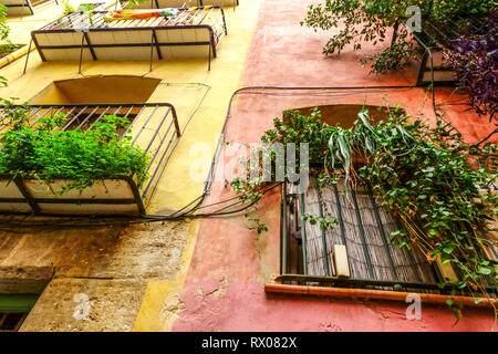 Espagne rue de la vieille ville de Valence une maison colorée, des fenêtres, et des balcons avec des plantes quartier El Carmen, Ciutat Vella Valencia Espagne façade de rue Banque D'Images