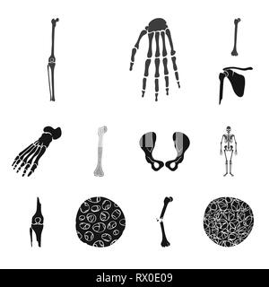 Genou,poignet,fémur,foot,,hanche,l'appareil locomoteur Fracture,fibre,ostéoporose,joints,occasion,casse,bassin,cheville osseuse,scientifique,sain,,la douleur,cell,,ménisque,péroné jambe,calcium squelettique,biais,tissu,corps,ossature,shin,biologie,os,médical,squelette anatomie,des,organes,médecine,clinique,,set,icône,,illustration,collection,isolé,design,graphisme,élément,signer,Black,de simples vecteurs vecteur , Illustration de Vecteur